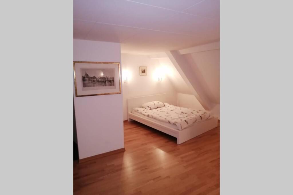 Studio F Am Barfusserplatz Central Old Town Apartment Basel Bagian luar foto